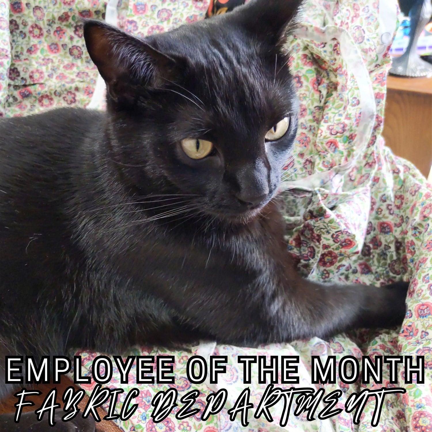 Fabric Bundles with Backstory